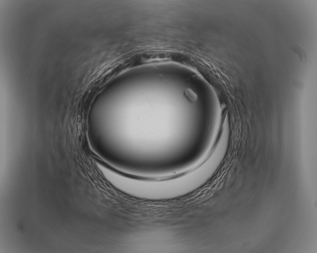 X0000113221157200909101144