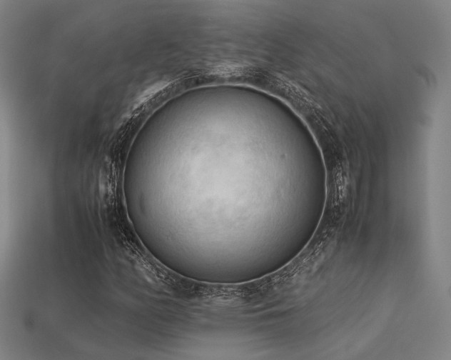 X0000113221158200909101144