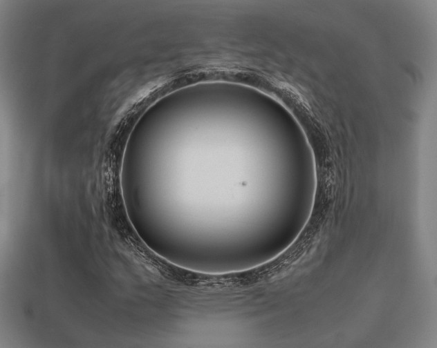 X0000113221159200909101144