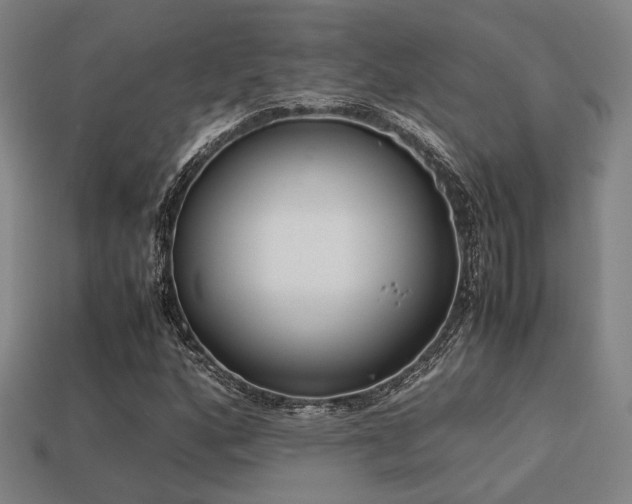 X0000113221160200909101144