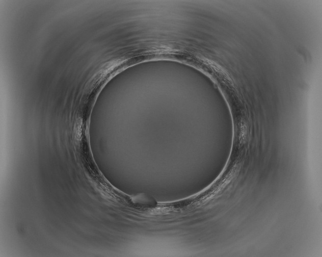 X0000113221161200909101144