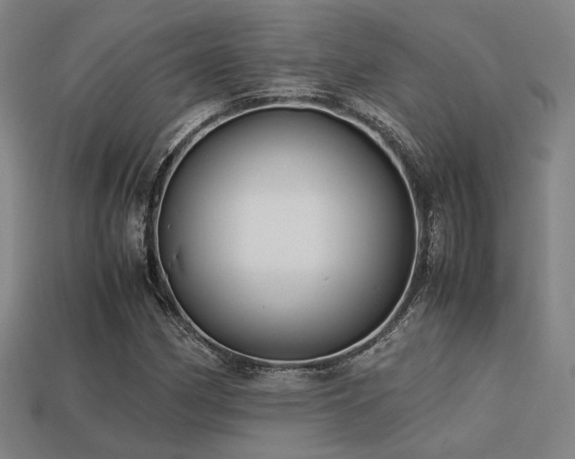 X0000113221162200909101144