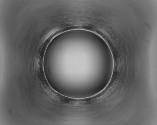 X0000113221163200909101144
