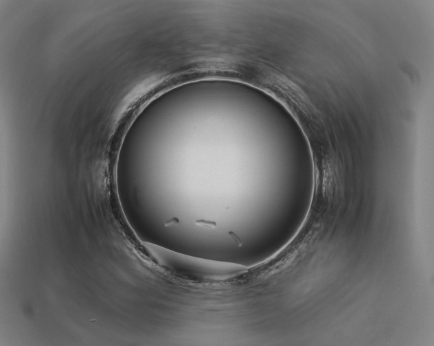 X0000113221164200909101144