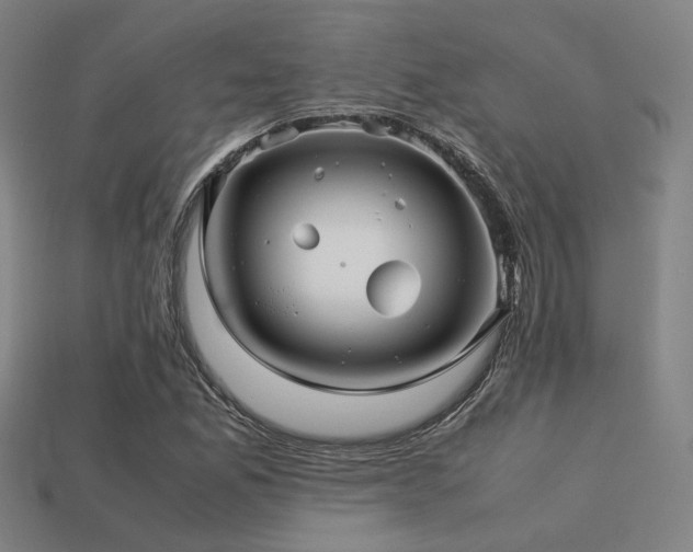 X0000113221165200909101144