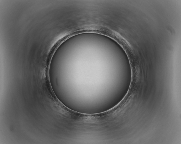 X0000113221166200909101144