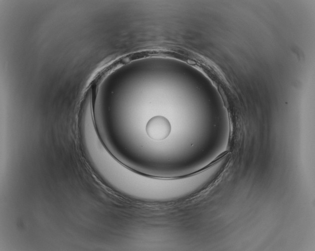 X0000113221168200909101144
