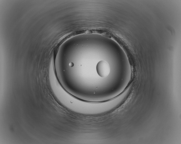 X0000113221169200909101144