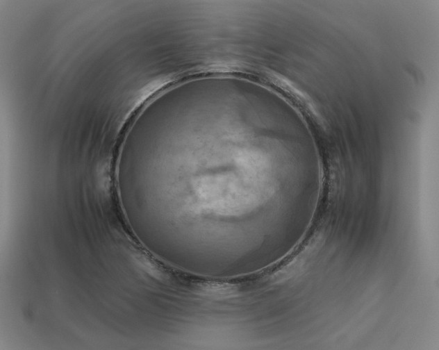 X0000113221170200909101144