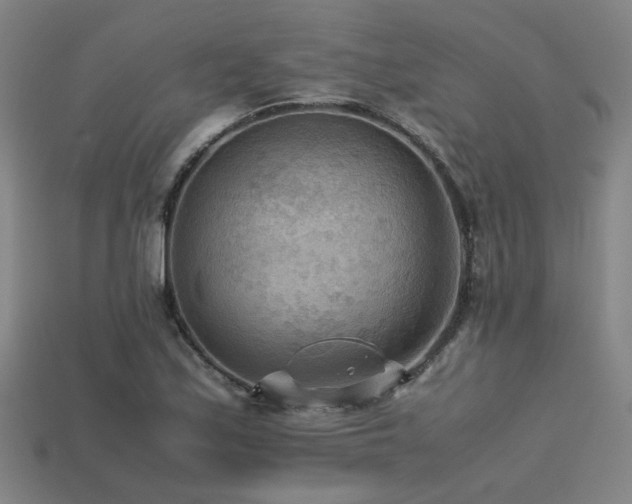 X0000113221171200909101144