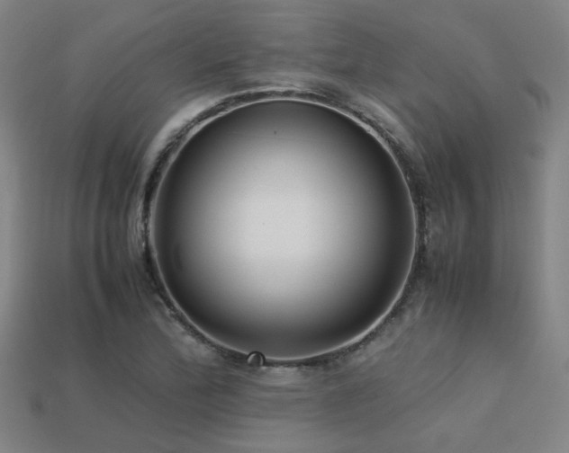 X0000113221172200909101144