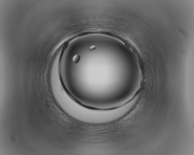 X0000113221173200909101144