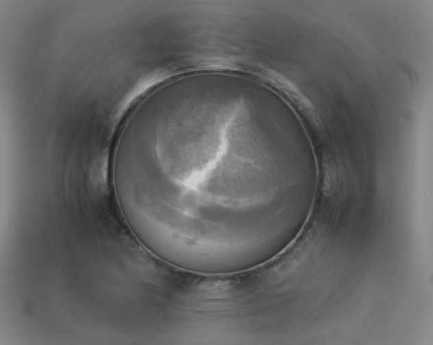 X0000113221174200909101144