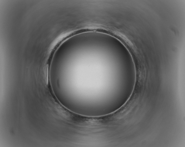 X0000113221175200909101144