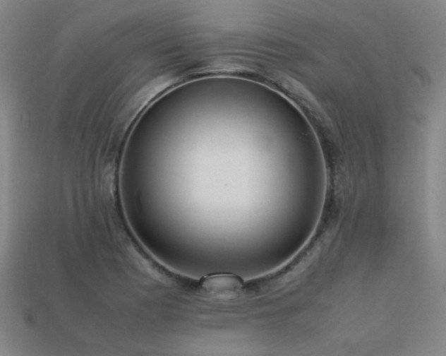 X0000113221177200909101144