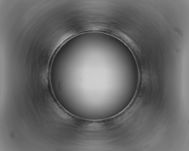X0000113221178200909101144