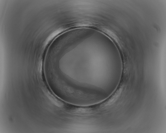 X0000113221179200909101144