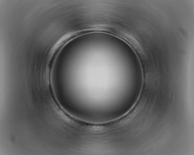 X0000113221180200909101144