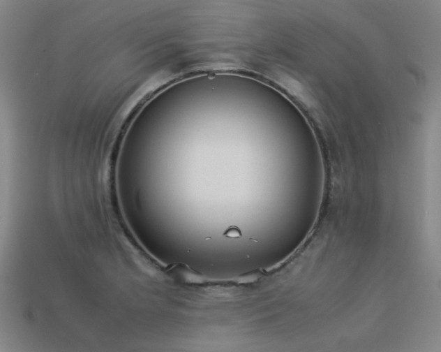 X0000113221181200909101144