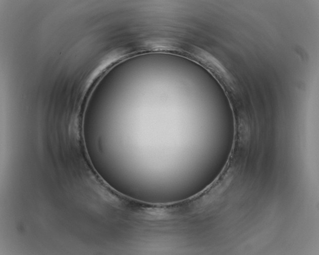 X0000113221182200909101144