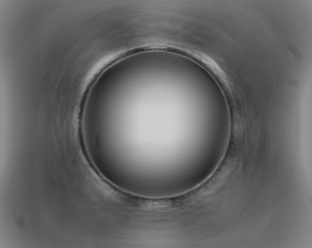 X0000113221183200909101144