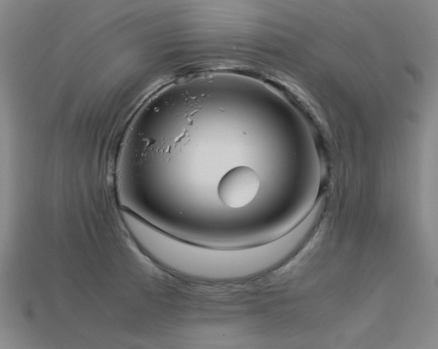 X0000113221185200909101144