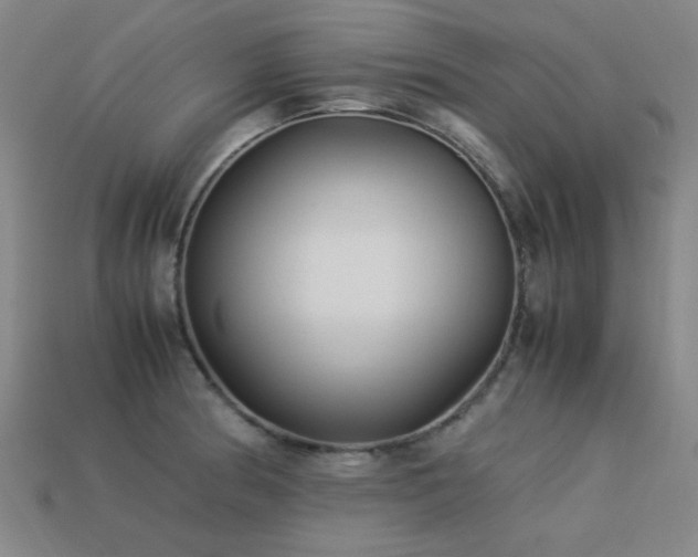 X0000113221186200909101144