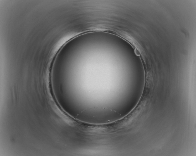 X0000113221187200909101144