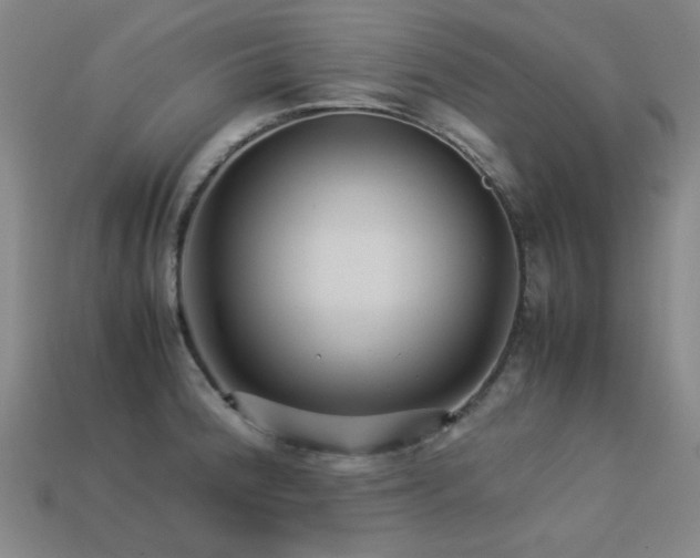 X0000113221188200909101144