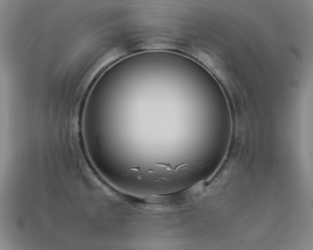 X0000113221189200909101144