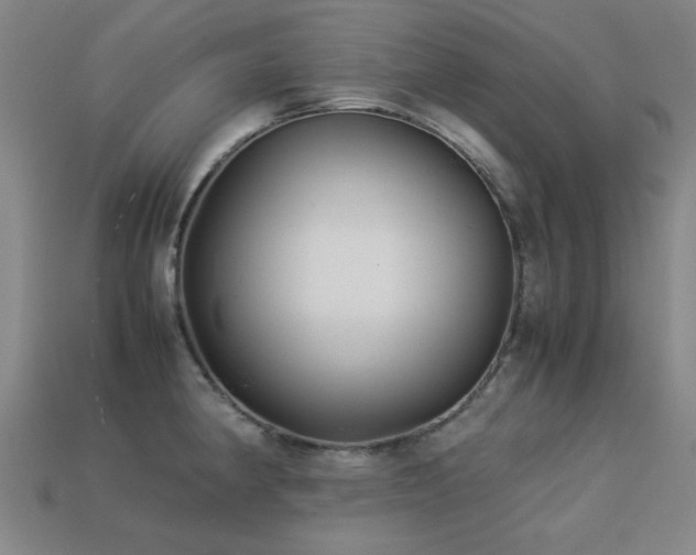 X0000113221190200909101144