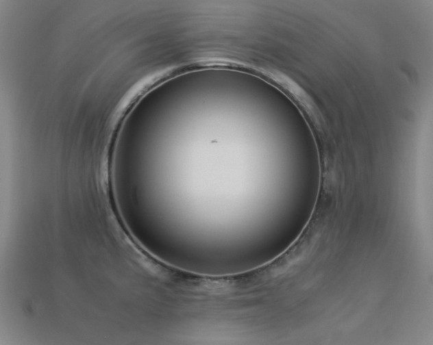 X0000113221191200909101144