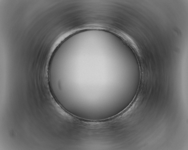 X0000113221192200909101144