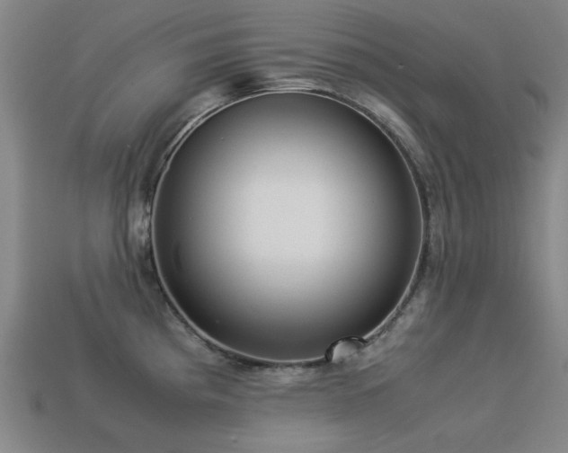 X0000113221193200909101144