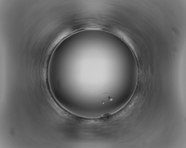 X0000113221195200909101144