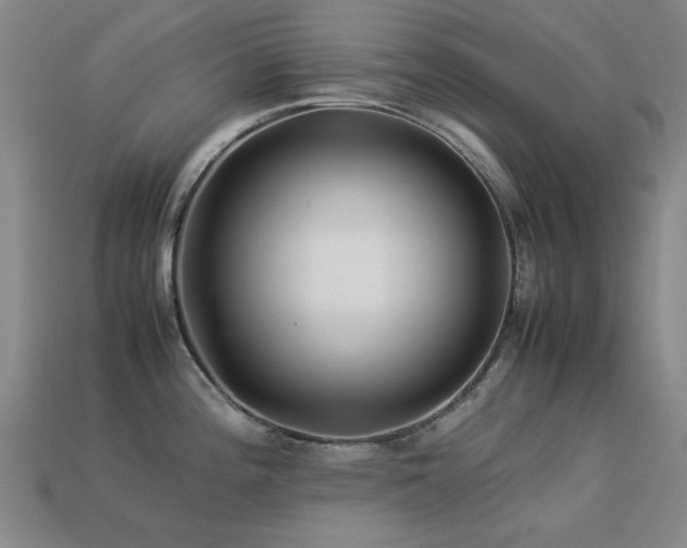 X0000113221196200909101144