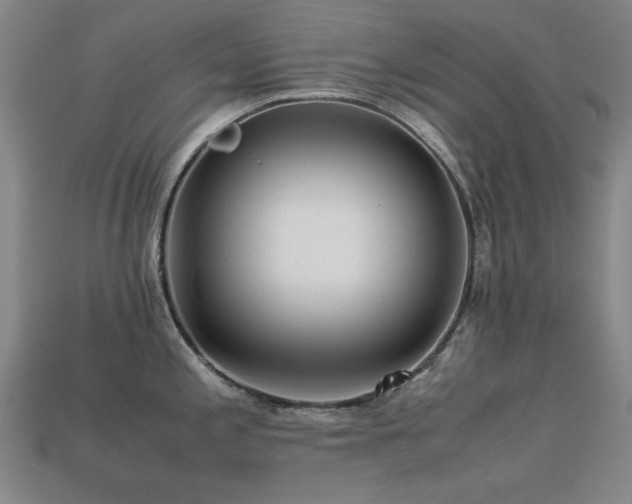 X0000113221197200909101144