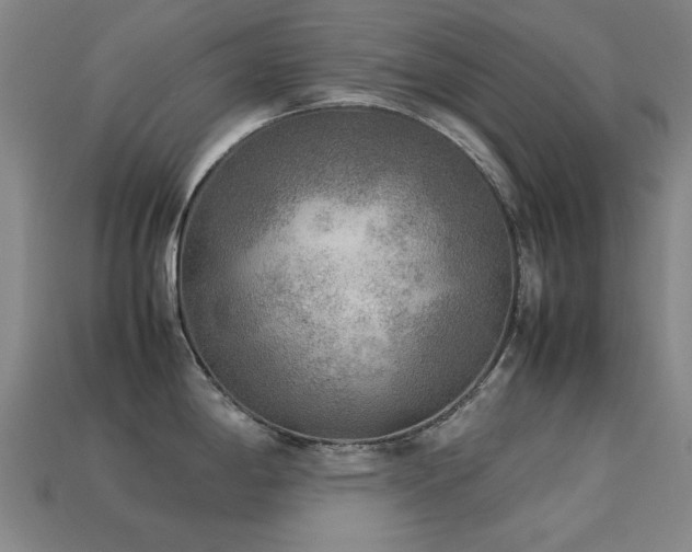 X0000113221198200909101144