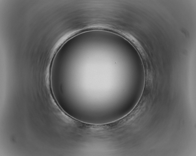 X0000113221199200909101144