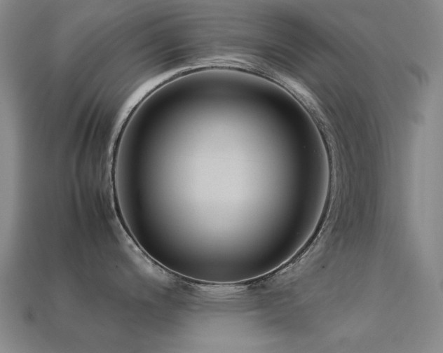 X0000113221200200909101143