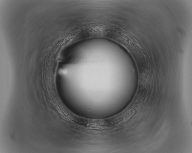X0000113221201200909101143
