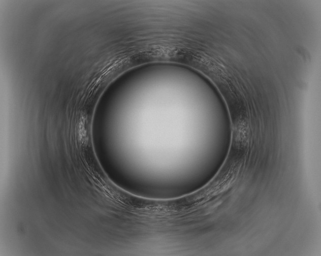 X0000113221202200909101143