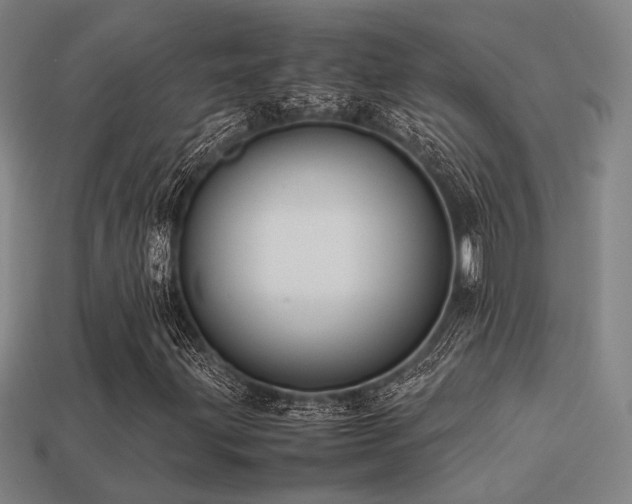 X0000113221203200909101143