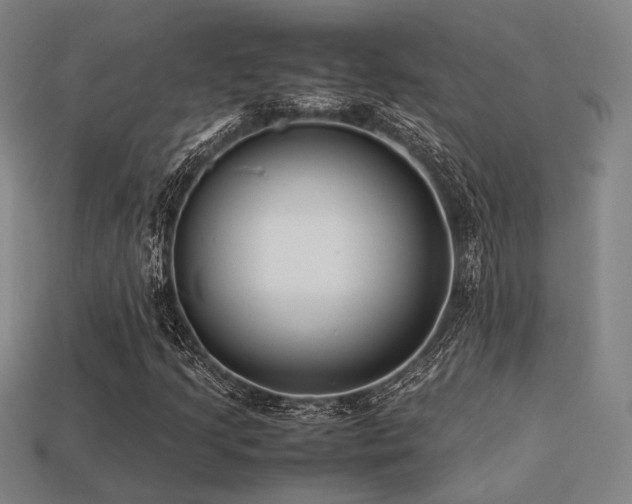 X0000113221205200909101143