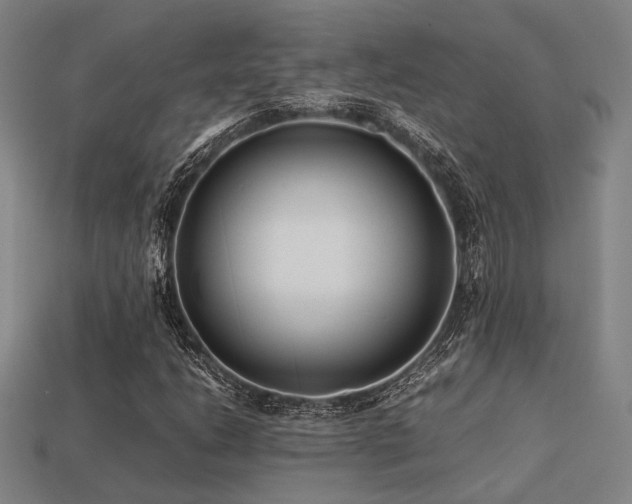 X0000113221206200909101143