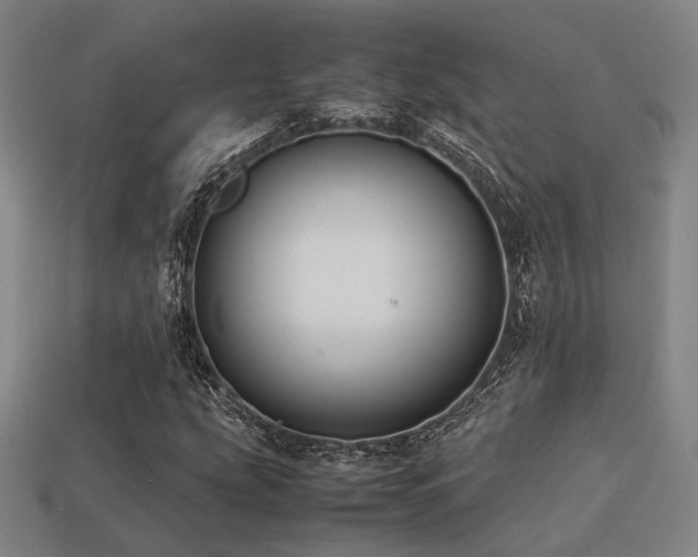 X0000113221207200909101143