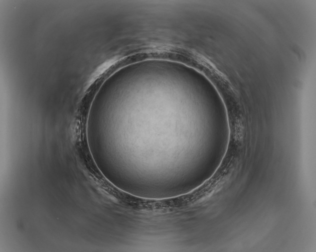 X0000113221208200909101143