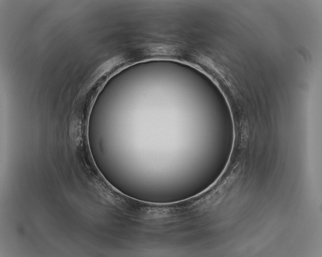X0000113221211200909101143