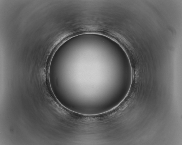 X0000113221212200909101143