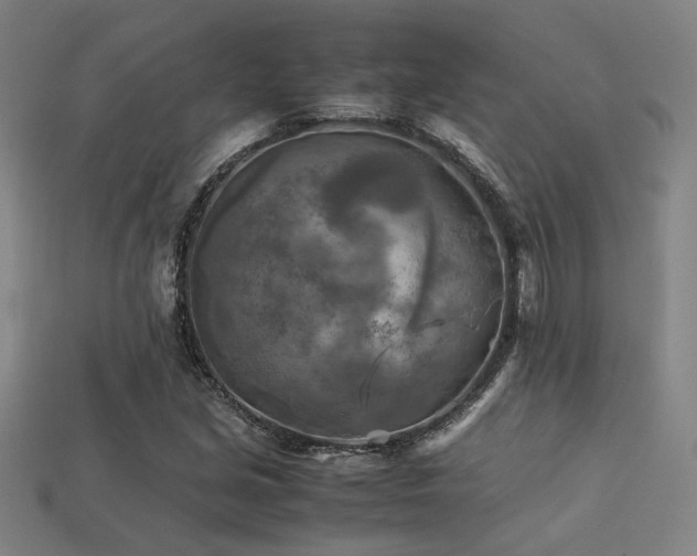 X0000113221213200909101143